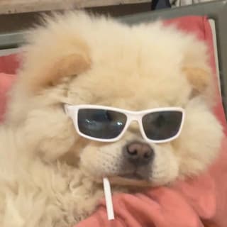 Назар Купневич profile picture