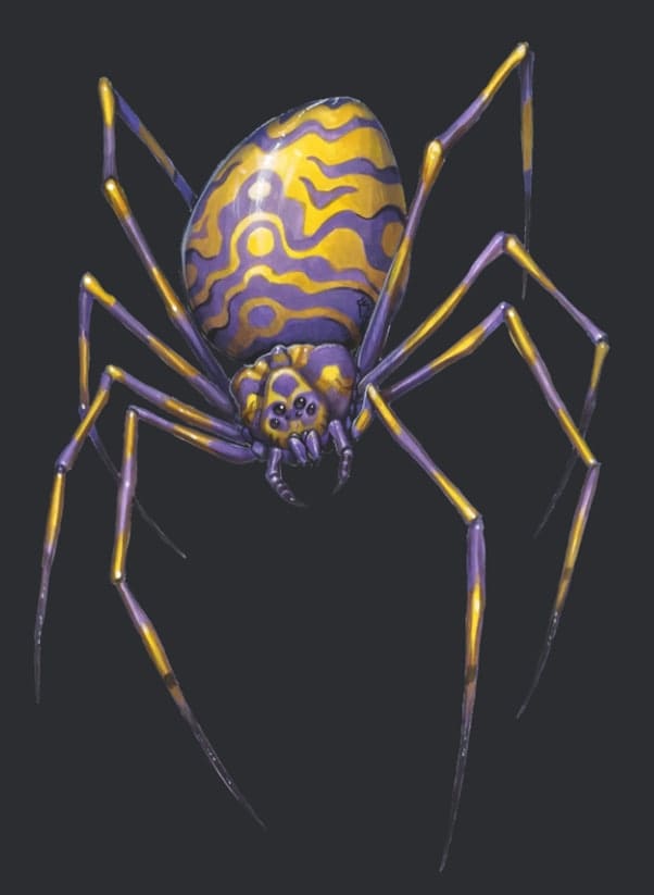 Dream Spider