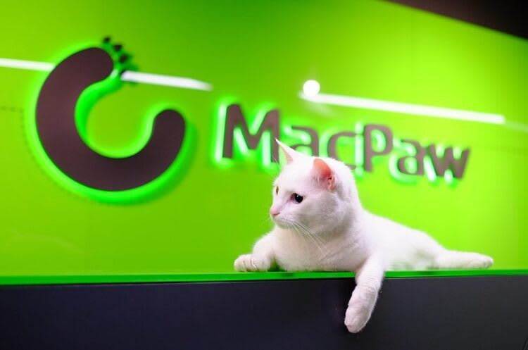 **Кіт Гувер, один із мешканців офісу компанії MacPaw**. Джерело: [mind](https://mind.ua/news/20237992-rozrobniki-macpaw-stvorili-dodatok-shcho-viznachae-rosijski-programi-j-servisi)