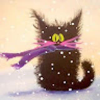 Anton Holo profile picture