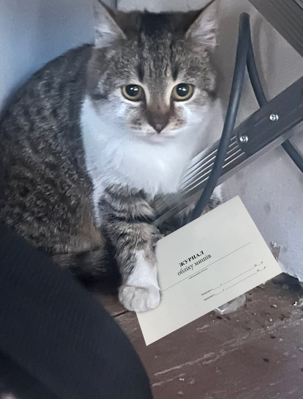 Опис картинки