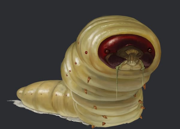 Giant Maggot