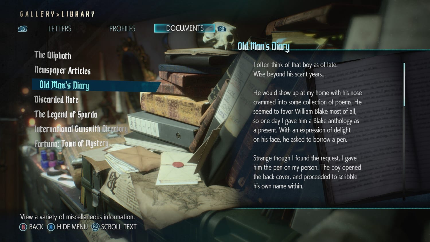 dmc5 diary