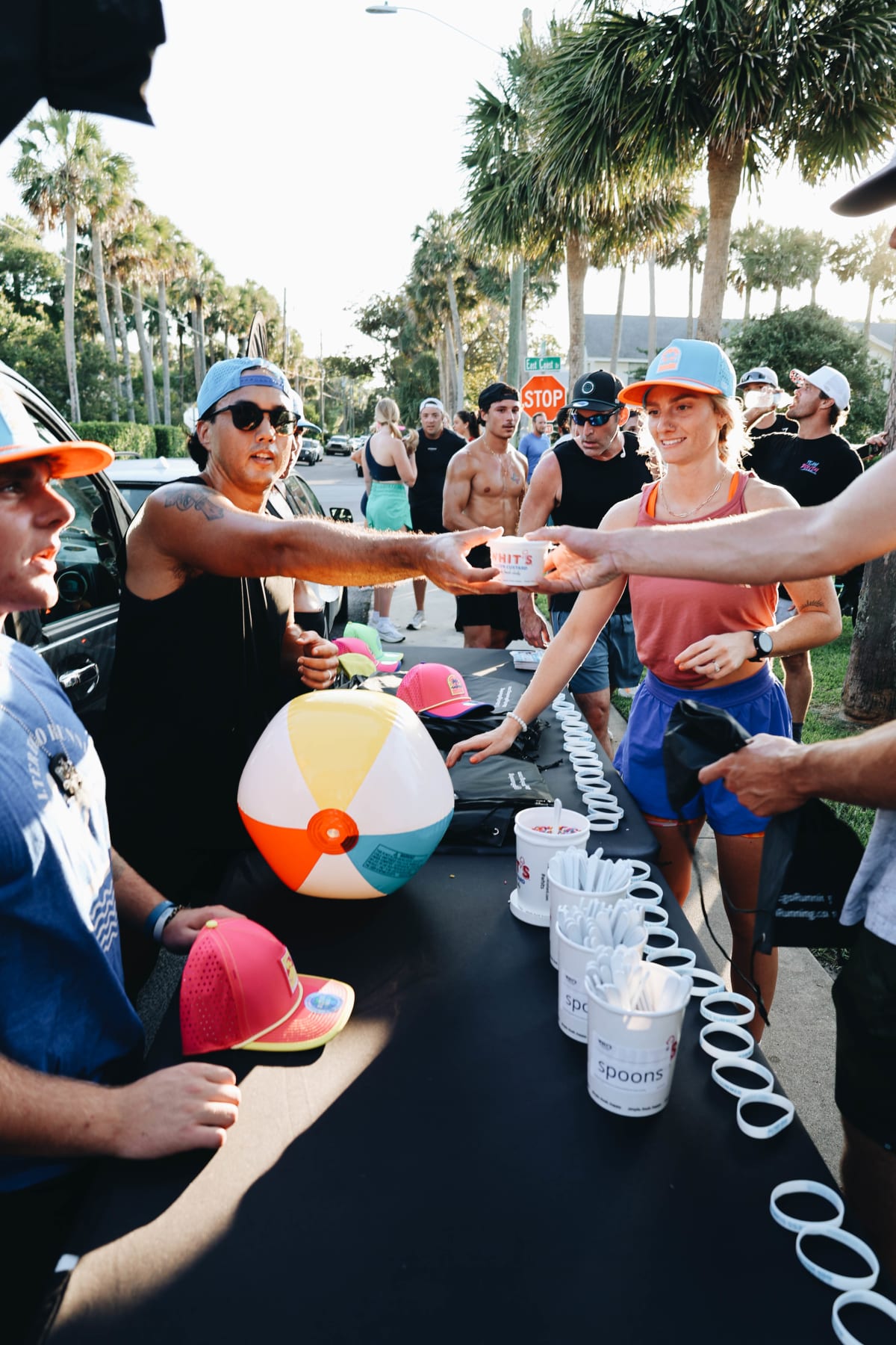 Endless Summer gallery image
