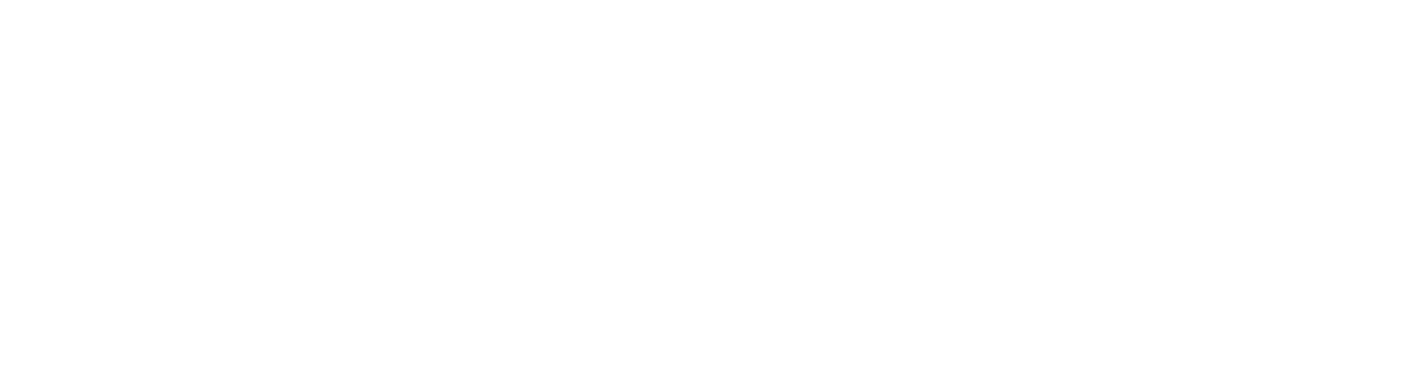 VWSLOT