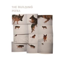 The Building - PETRA cover