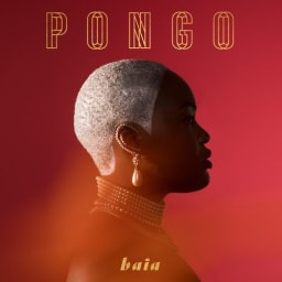 Pongo - Baia cover