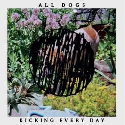 All Dogs - Kicking Every Day cover