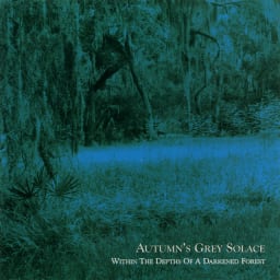 Autumn's Grey Solace - Within The Depths Of A Darkened Forest cover