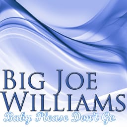 Big Joe Williams - Baby Please Don't Go cover