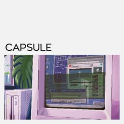 CAPSULE - L.D.K. Lounge Designers Killer cover
