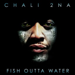 Chali 2na - Fish Outta Water cover