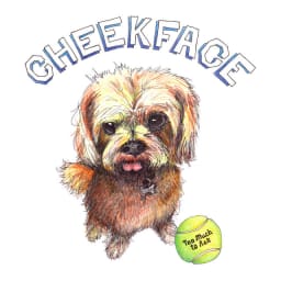 Cheekface - Too Much to Ask cover