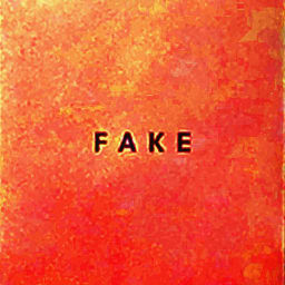 Die Nerven - Fake cover