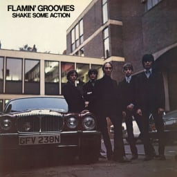 Flamin' Groovies - Shake Some Action cover