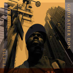 Godfather Don - Thesis cover