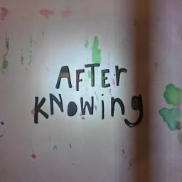 Grace Gardner - After Knowing cover