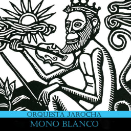 Grupo Mono Blanco - Orquesta Jarocha cover