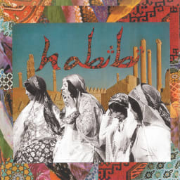 Habibi - Habib cover