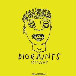 ICYTWAT - Dior Junts cover