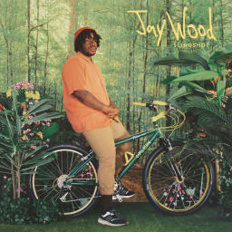 JayWood - Slingshot cover