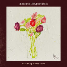 Jeremiah Lloyd Harmon - Wake Me Up When it's Over cover
