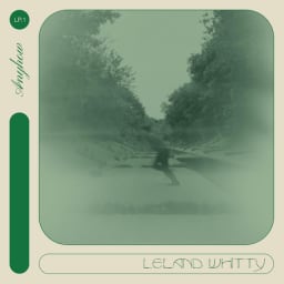 Leland Whitty - Anyhow cover