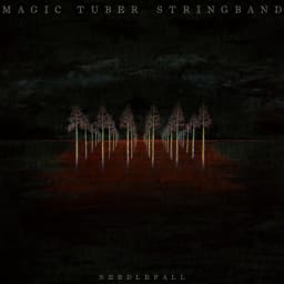 Magic Tuber Stringband - Needlefall cover