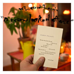 Mount Eerie - A Crow Looked at Me cover