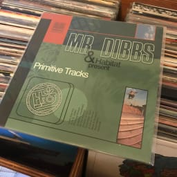 Mr. Dibbs - Primitive Tracks cover