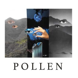 Pollen - Pollen cover