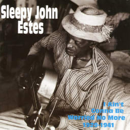 Sleepy John Estes - I Ain't Gonna Be Worried No More 1929-1941 cover