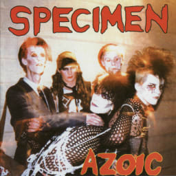 Specimen - Azoic cover