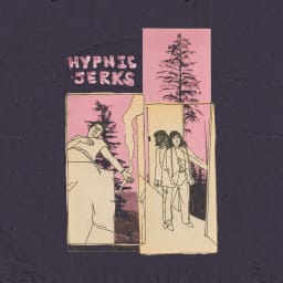 SPIRIT OF THE BEEHIVE - Hypnic Jerks cover