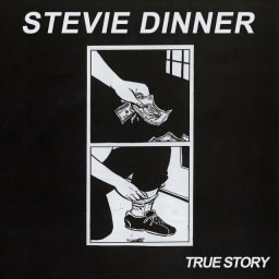 Stevie Dinner - True Story cover