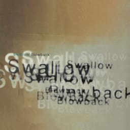 Swallow - Blow cover