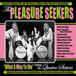 The Pleasure Seekers - What a Way to Die cover