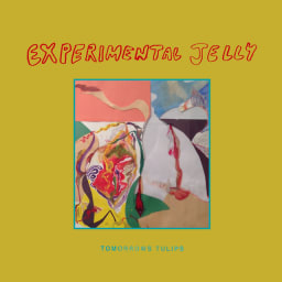 Tomorrows Tulips - Experimental Jelly cover