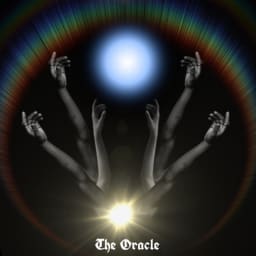 We Don't Ride Llamas - The Oracle cover