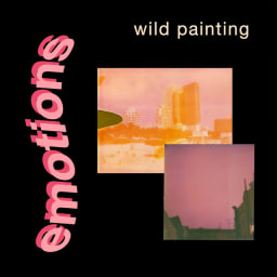 Wild Painting - Emotions cover