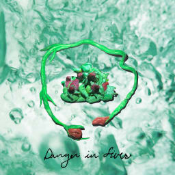 Wombo - Danger in Fives cover