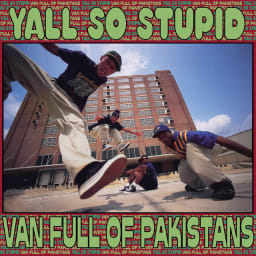 Yall So Stupid - Van Full Of Pakistans cover