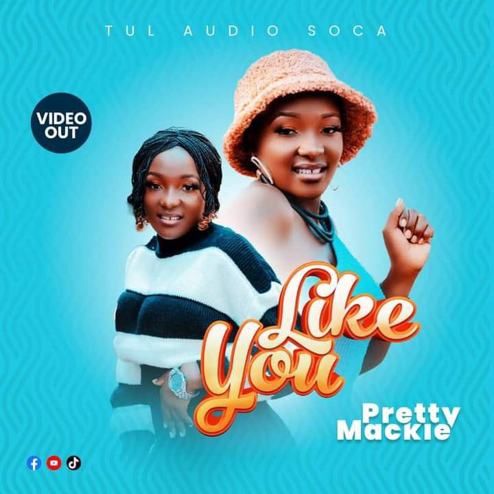 Like You - Pretty Mackie