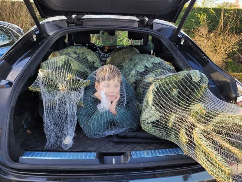 ACTIE - kerstbomen - Voedselbank (zie BLOG)
