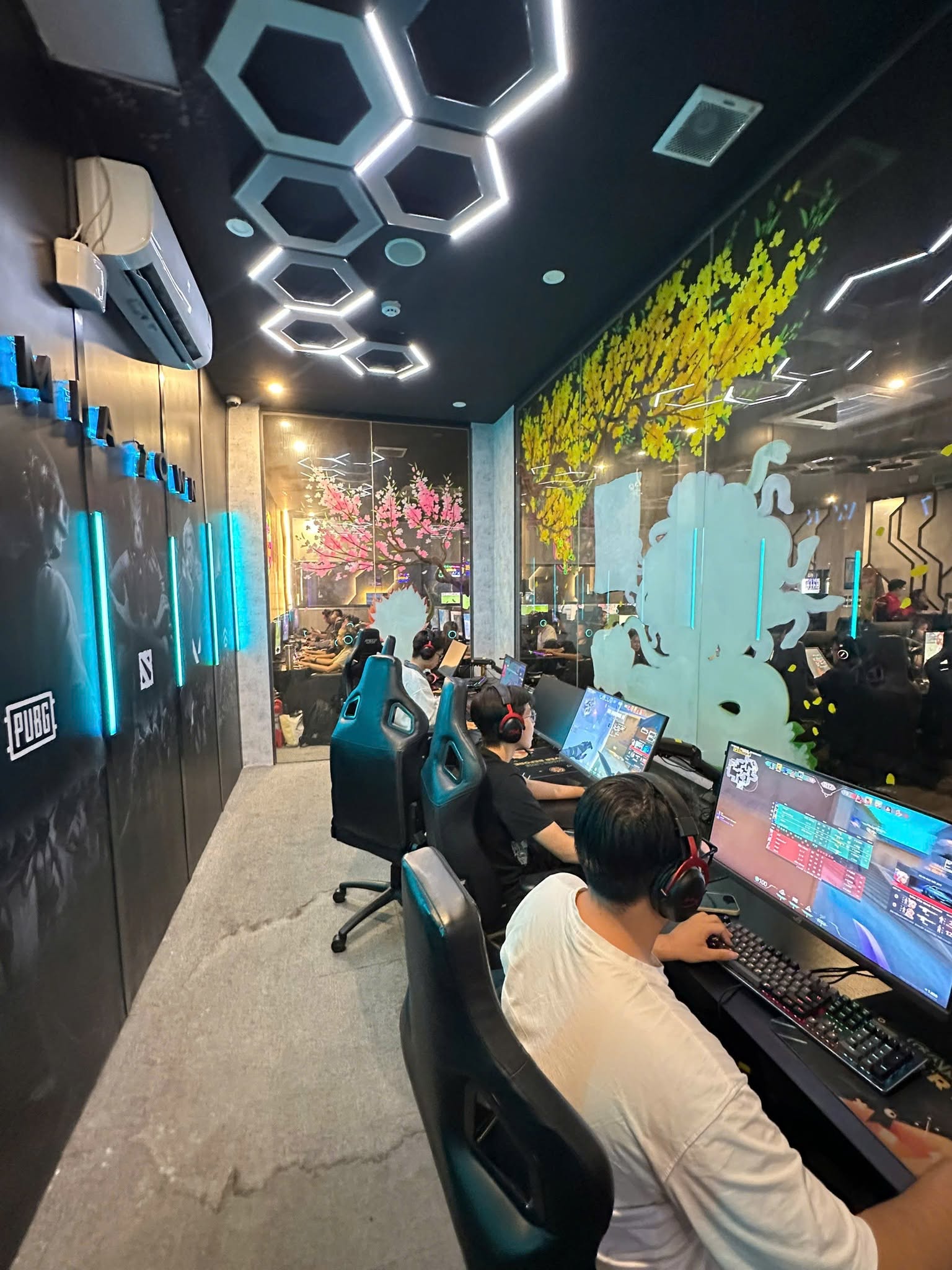 VIP ARENA