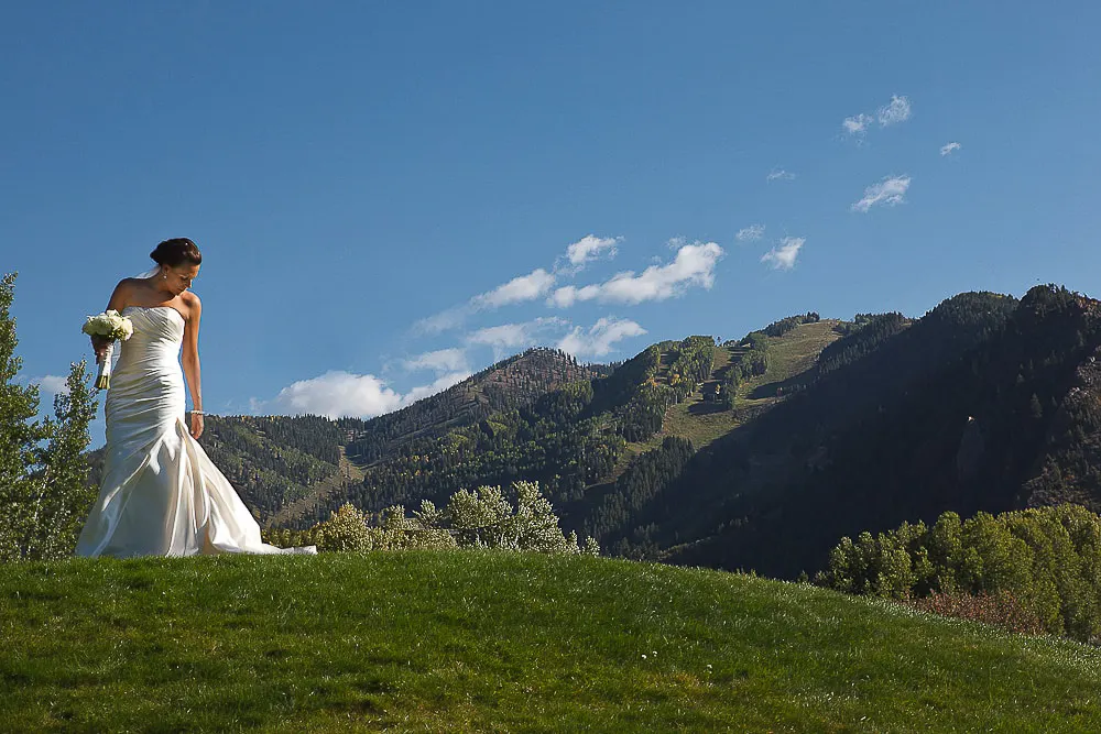 Wedding photograph 19