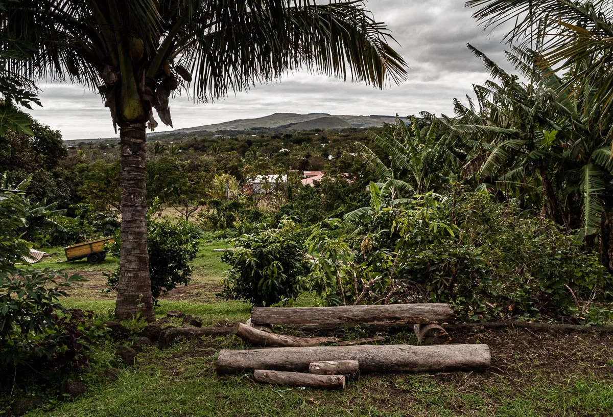 Easter Island | Chile