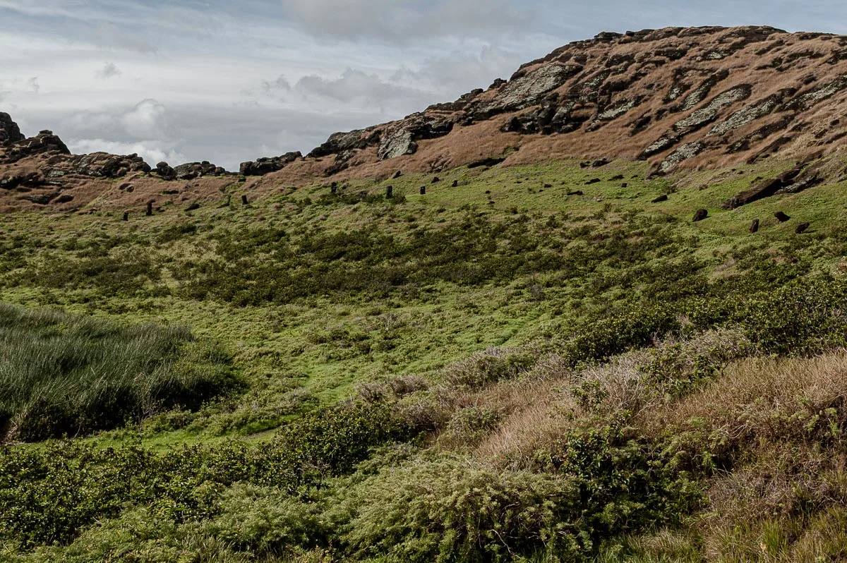Rapa Nui | Chile