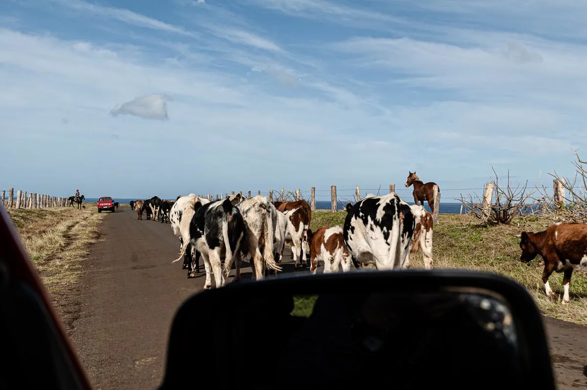 Rapa Nui | Chile