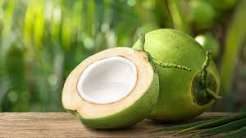 Coconut tender